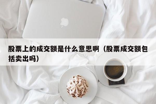 股票上的成交额是什么意思啊（股票成交额包括卖出吗）