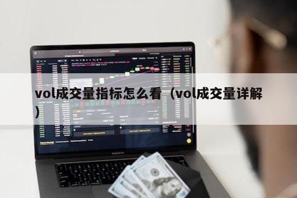 vol成交量指标怎么看（vol成交量详解）