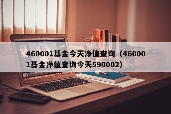 460001基金今天净值查询（460001基金净值查询今天590002）