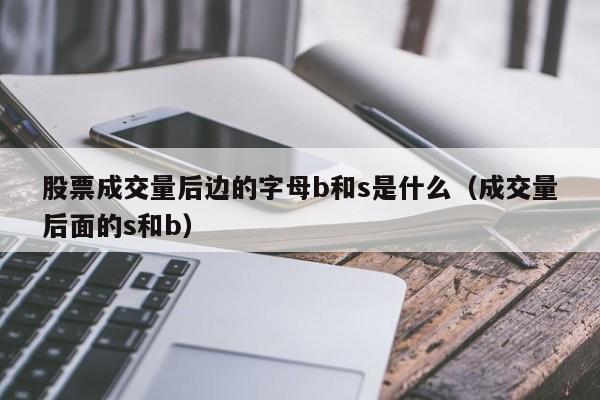 股票成交量后边的字母b和s是什么（成交量后面的s和b）