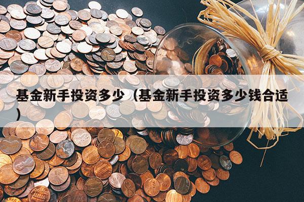 基金新手投资多少（基金新手投资多少钱合适）