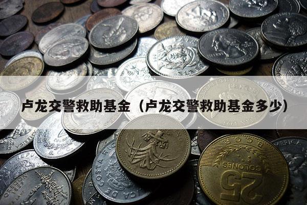 卢龙交警救助基金（卢龙交警救助基金多少）