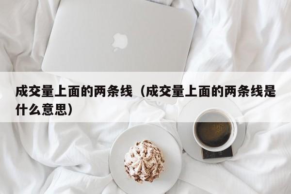 成交量上面的两条线（成交量上面的两条线是什么意思）