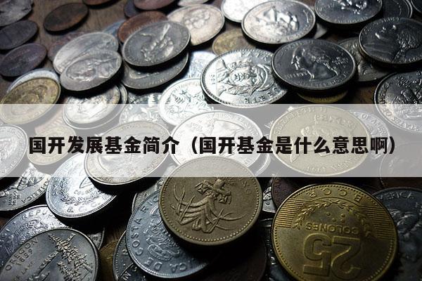 国开发展基金简介（国开基金是什么意思啊）