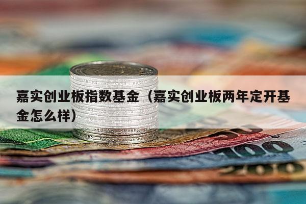 嘉实创业板指数基金（嘉实创业板两年定开基金怎么样）