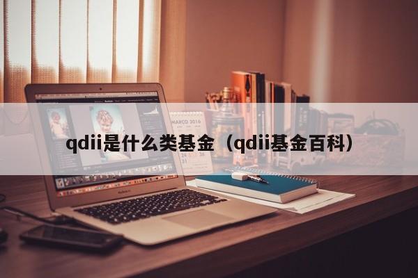 qdii是什么类基金（qdii基金百科）