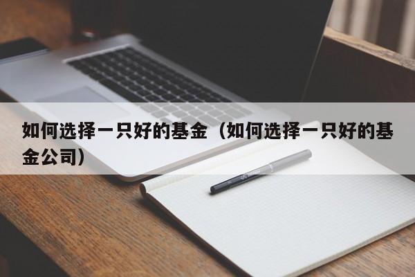 如何选择一只好的基金（如何选择一只好的基金公司）