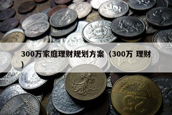 300万家庭理财规划方案（300万 理财）