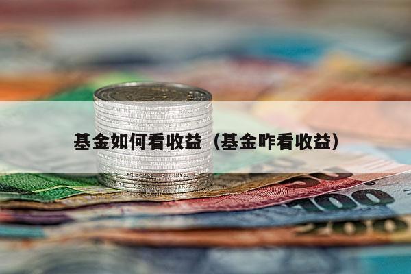 基金如何看收益（基金咋看收益）