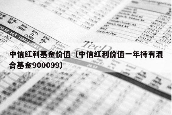 中信红利基金价值（中信红利价值一年持有混合基金900099）