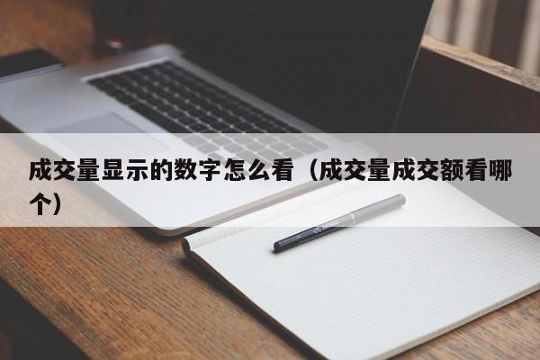 成交量显示的数字怎么看（成交量成交额看哪个）