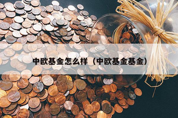 中欧基金怎么样（中欧基金基金）