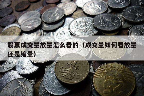 股票成交量放量怎么看的（成交量如何看放量还是缩量）