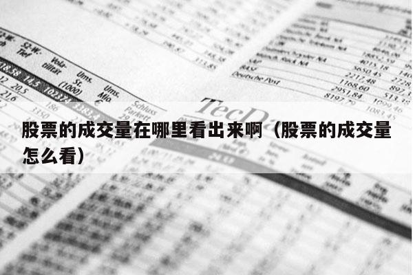 股票的成交量在哪里看出来啊（股票的成交量怎么看）