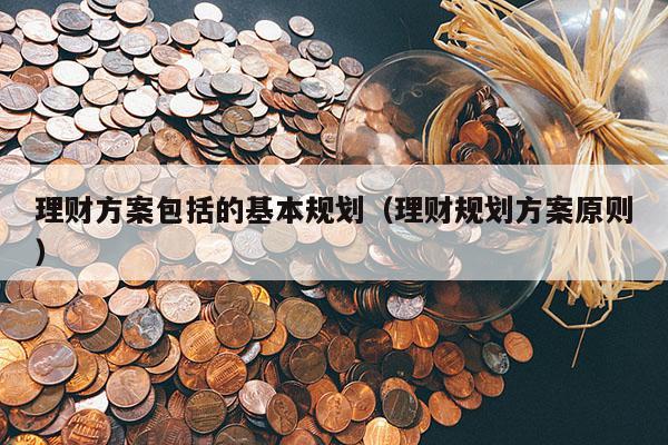 理财方案包括的基本规划（理财规划方案原则）