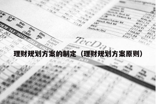 理财规划方案的制定（理财规划方案原则）