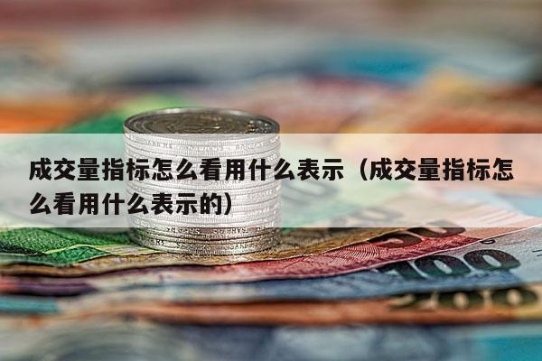 成交量指标怎么看用什么表示（成交量指标怎么看用什么表示的）