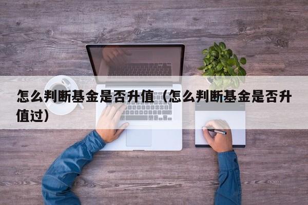 怎么判断基金是否升值（怎么判断基金是否升值过）