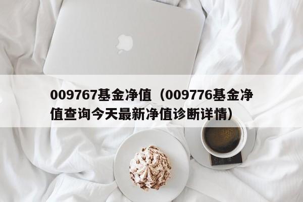 009767基金净值（009776基金净值查询今天最新净值诊断详情）