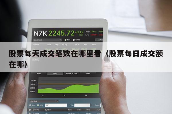 股票每天成交笔数在哪里看（股票每日成交额在哪）