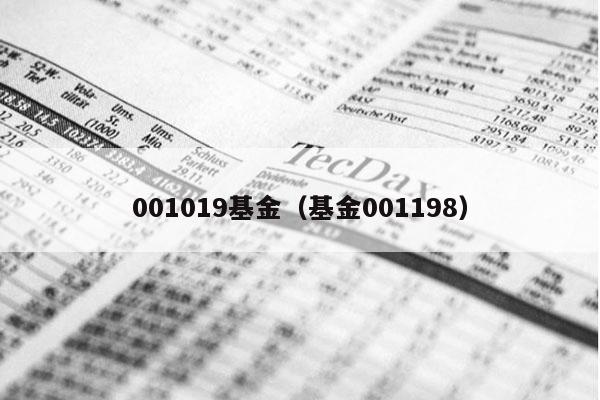 001019基金（基金001198）
