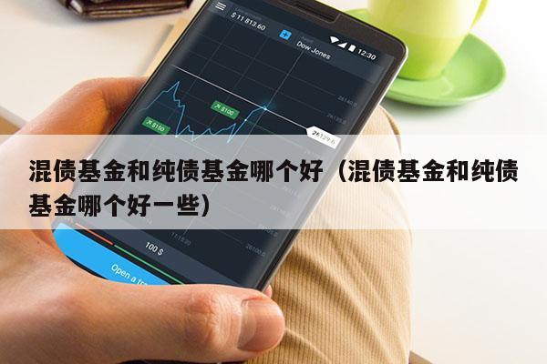 混债基金和纯债基金哪个好（混债基金和纯债基金哪个好一些）