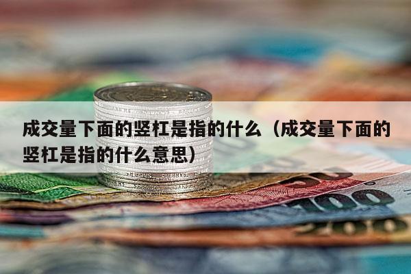 成交量下面的竖杠是指的什么（成交量下面的竖杠是指的什么意思）