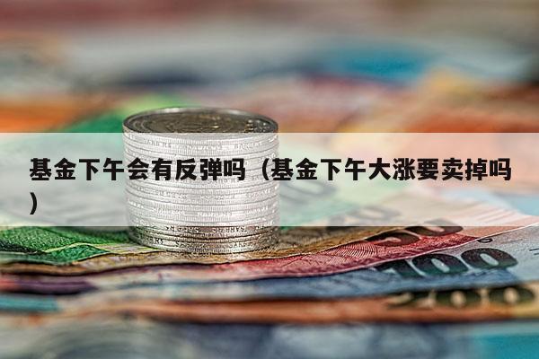 基金下午会有反弹吗（基金下午大涨要卖掉吗）