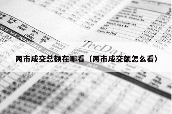两市成交总额在哪看（两市成交额怎么看）