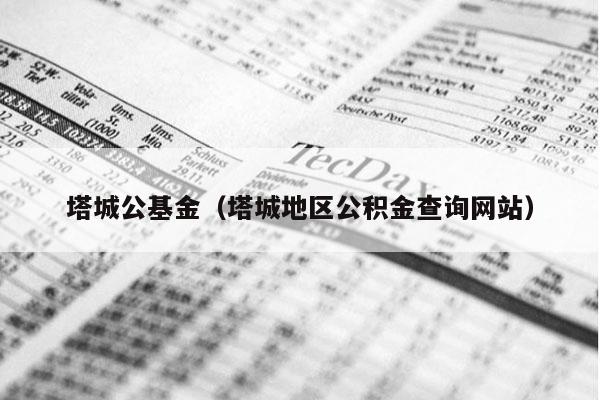 塔城公基金（塔城地区公积金查询网站）