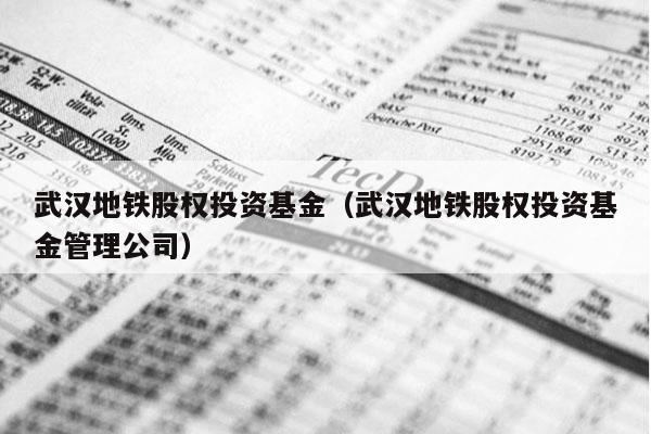武汉地铁股权投资基金（武汉地铁股权投资基金管理公司）