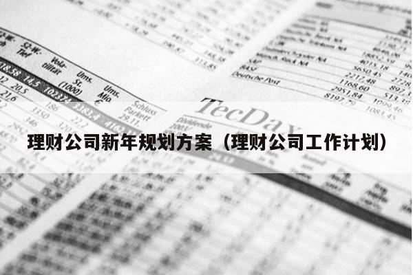 理财公司新年规划方案（理财公司工作计划）
