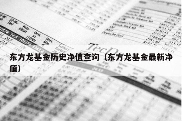 东方龙基金历史净值查询（东方龙基金最新净值）