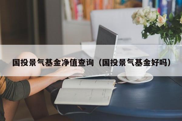 国投景气基金净值查询（国投景气基金好吗）
