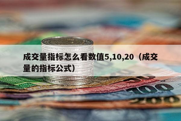 成交量指标怎么看数值5,10,20（成交量的指标公式）
