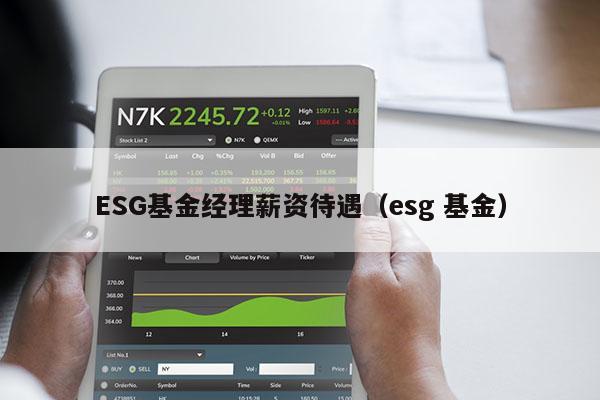 ESG基金经理薪资待遇（esg 基金）