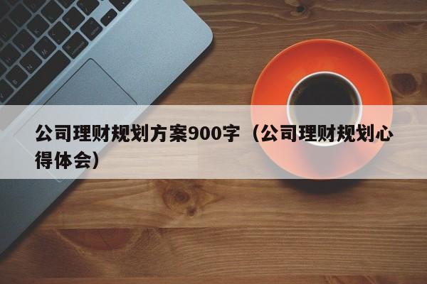 公司理财规划方案900字（公司理财规划心得体会）