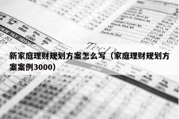 新家庭理财规划方案怎么写（家庭理财规划方案案例3000）