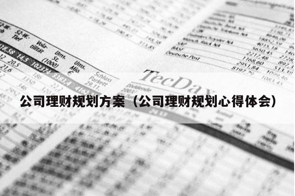 公司理财规划方案（公司理财规划心得体会）