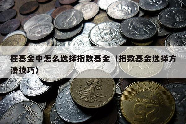 在基金中怎么选择指数基金（指数基金选择方法技巧）