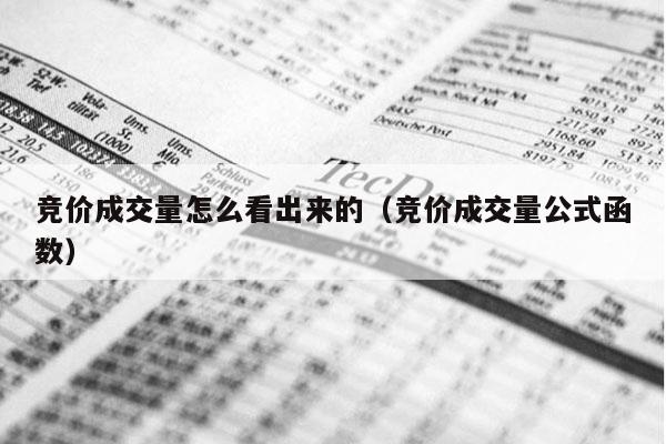 竞价成交量怎么看出来的（竞价成交量公式函数）