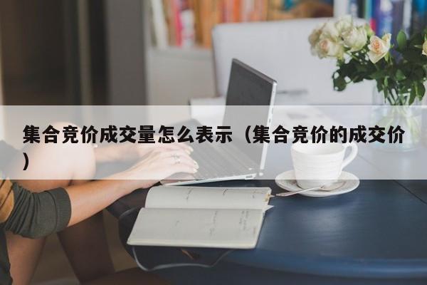 集合竞价成交量怎么表示（集合竞价的成交价）