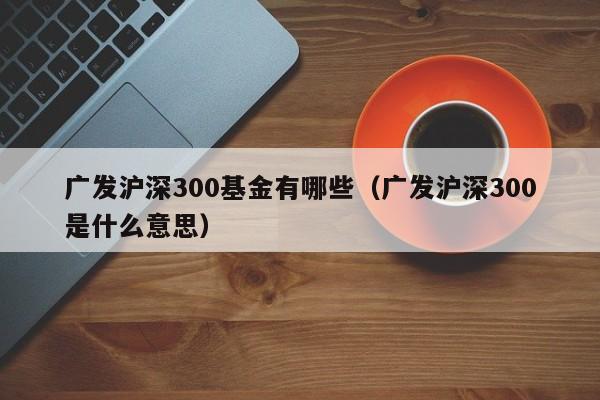 广发沪深300基金有哪些（广发沪深300是什么意思）