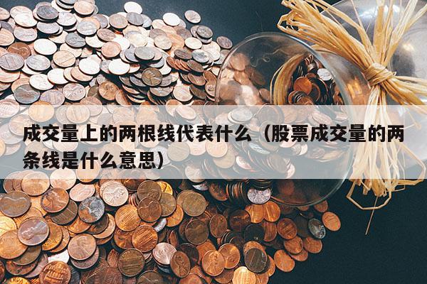 成交量上的两根线代表什么（股票成交量的两条线是什么意思）