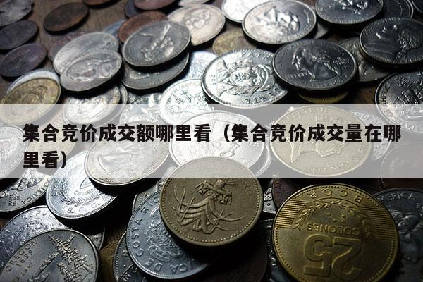 集合竞价成交额哪里看（集合竞价成交量在哪里看）