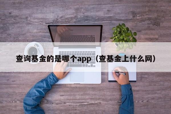 查询基金的是哪个app（查基金上什么网）