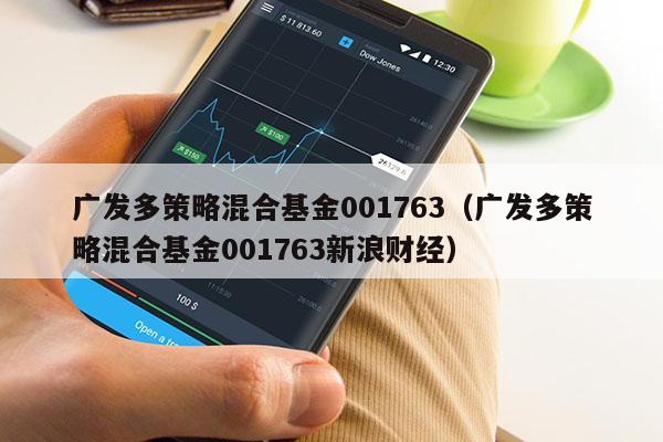 广发多策略混合基金001763（广发多策略混合基金001763新浪财经）