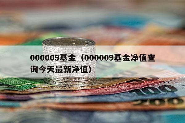 000009基金（000009基金净值查询今天最新净值）