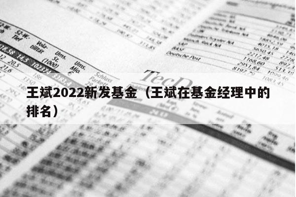 王斌2022新发基金（王斌在基金经理中的排名）