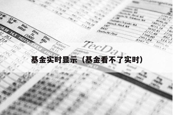 基金实时显示（基金看不了实时）